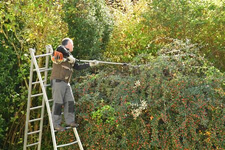 verneuil sur Seine, France - november 3 2016 : a pruner in agarden