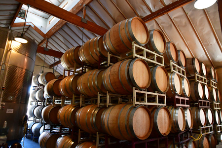 San Luis Obispo, USA - july 15 2016 : barrel in the cellar of the Claiborne and Churchhill winery