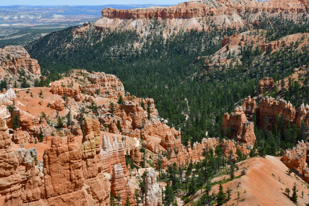 Bryce Canyon, USA - july 9 2016 : the National Parkのeditorial素材