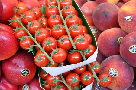 Saint Germain en Laye, France - june 12 2016 : the picturesque market every sundayのeditorial素材