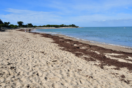 Les Portes en Re, France - september 26 2016 : the Trousse Chemise beachのeditorial素材