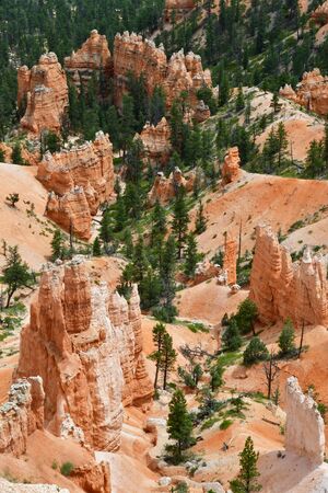 Bryce Canyon, USA - july 9 2016 : the National Parkのeditorial素材