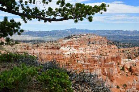 Bryce Canyon, USA - july 9 2016 : the National Parkのeditorial素材