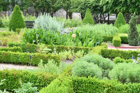 Saint Martin de Boscherville, France - june 22 2016 : the Saint Georges abbey garden in Seine Maritimeのeditorial素材