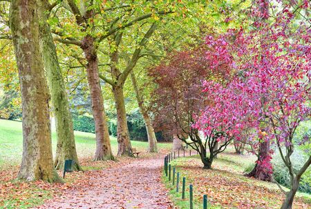 Poissy; France - october 26 2016 : the picturesque Messonier parkのeditorial素材