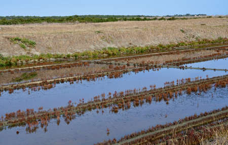 Loix, France - september 26 2016 : the picturesque salt evaporation pondのeditorial素材