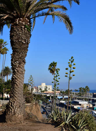 Santa Monica, California, USA - july 15 2016 : the picturesque city in summer