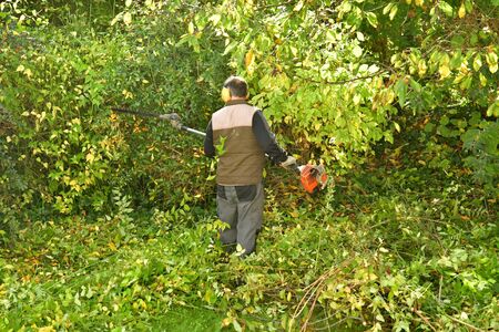 verneuil sur Seine, France - november 3 2016 : a pruner in agardenのeditorial素材