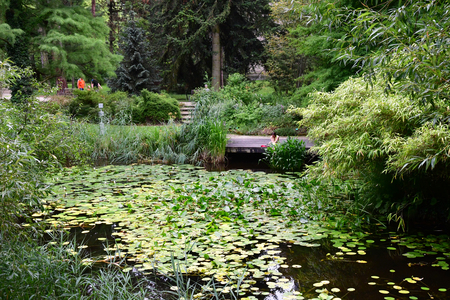 Strasbourg, France - july 24 2016 : the university botanical gardenのeditorial素材
