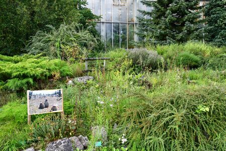 Strasbourg, France - july 24 2016 : the university botanical gardenのeditorial素材