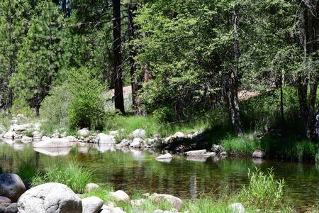 USA - july 12 2016 : river in the Yosemite National Parkのeditorial素材