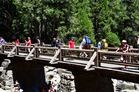 USA - july 12 2016 : the Yosemite National Parkのeditorial素材