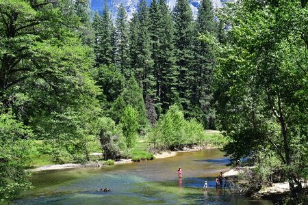 USA - july 12 2016 : river in the Yosemite National Parkのeditorial素材