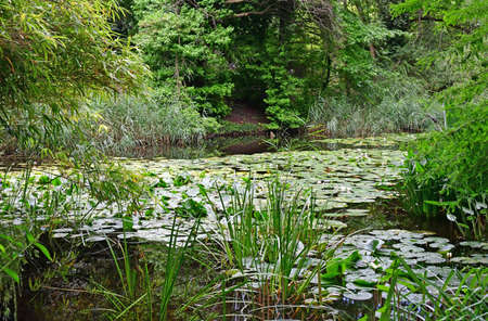 Strasbourg, France - july 24 2016 : the university botanical gardenのeditorial素材