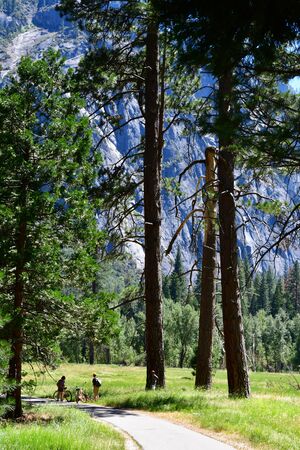 USA - july 12 2016 : the Yosemite National Parkのeditorial素材