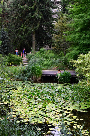 Strasbourg, France - july 24 2016 : the botanical garden of the universityのeditorial素材