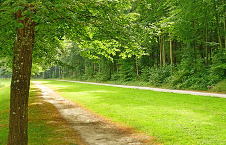 Chantilly, France - august 14 2016 : park of the castle of Chantillyのeditorial素材