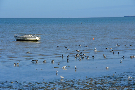 Rivedoux Plage; France - november 26 2017 : the picturesque seasideのeditorial素材