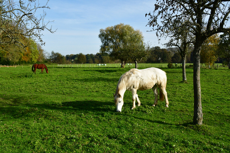 Vascoeuil, France - november 1 2017 : landscapeのeditorial素材