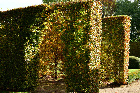 Vascoeuil, France - november 1 2017 : the castle parkのeditorial素材