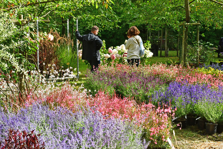 Les Mureaux; France - september 16 2017 : Fleurs en Seine, flower exhibitionのeditorial素材