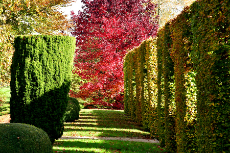 Vascoeuil, France - november 1 2017 : the castle parkのeditorial素材