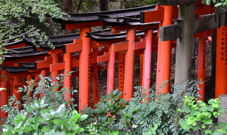 Kyoto, Japan - august 8 2017 : the Fushimi Inari Taisha shrineのeditorial素材