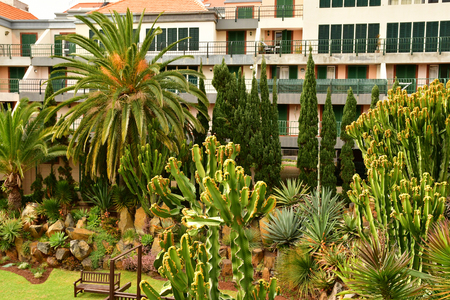 Funchal, Madeira, Portugal - february 22 2018 : park of an hotel in the west district of funchalのeditorial素材