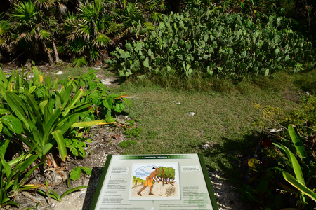 Tulum; United Mexican State - may 20 2018 : the pre Columbian siteのeditorial素材