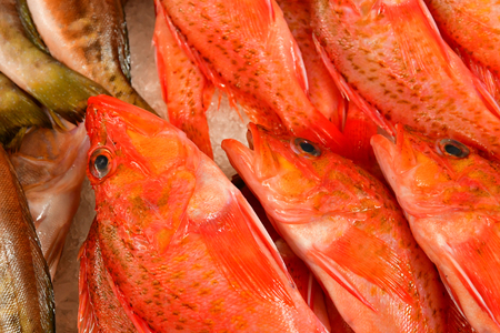 Funchal, Portugal - february 22 2018 : fish shop at the covered market in the city centre