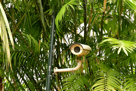 Funchal, Portugal - february 22 2018 : the botanical gardenのeditorial素材