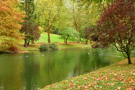 Poissy, France - october 29 2017 : the Meissonier park in autumnのeditorial素材