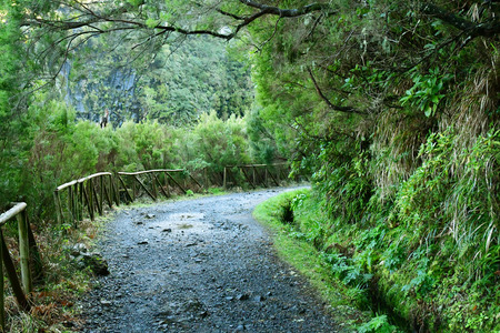 Risco; Madeira; Portugal - february 24 2018 : the 25 fountains levada walkのeditorial素材