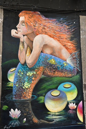 Funchal, Portugal - february 21 2018 : painted door in the Santa Maria streetのeditorial素材