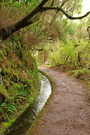 Risco; Madeira; Portugal - february 24 2018 : the 25 fountains levada walkのeditorial素材