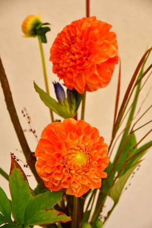 Les Mureaux; France - september 16 2017 : Ikebana, Japanese flower arranging art in Fleurs en Seine, flower exhibitionのeditorial素材