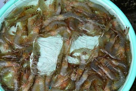 Sa Dec; Socialist Republic of Vietnam - august 18 2018 : seafood at the picturesque daily marketのeditorial素材