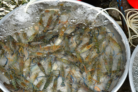 Sa Dec; Socialist Republic of Vietnam - august 18 2018 : seafood at the picturesque daily marketのeditorial素材