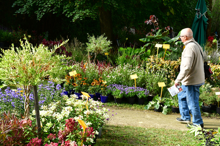 Les Mureaux; France - september 16 2017 : Fleurs en Seine, flower exhibitionのeditorial素材