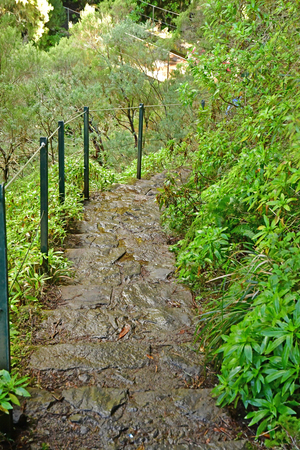 Risco; Madeira; Portugal - february 24 2018 : the 25 fountains levada walkのeditorial素材
