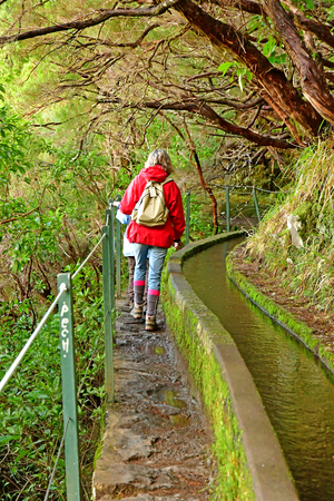 Risco; Madeira; Portugal - february 24 2018 : the 25 fountains levada walkのeditorial素材