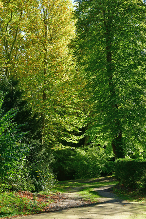 Les Mureaux, France - october 13 2017 : the Marronniers parkのeditorial素材