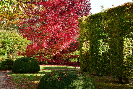 Vascoeuil, France - november 1 2017 : the castle parkのeditorial素材