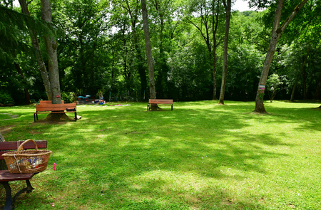 Villiers le Bacle; France - june 3 2018 : garden of the house of Foujitaのeditorial素材