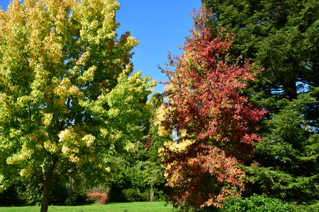 Les Mureaux, France - october 13 2017 : the Marronniers parkのeditorial素材