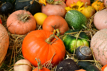 Les Mureaux; France - september 16 2017 : Fleurs en Seine, flower exhibitionのeditorial素材