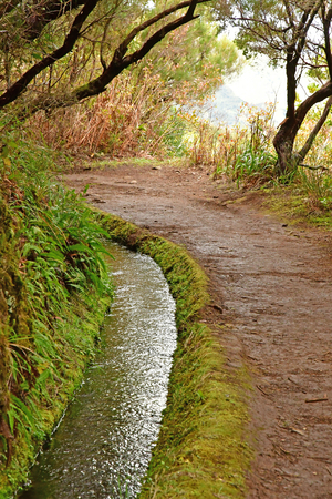 Risco; Madeira; Portugal - february 24 2018 : the 25 fountains levada walkのeditorial素材