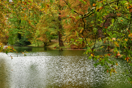 Poissy, France - october 29 2017 : the Meissonier park in autumnのeditorial素材