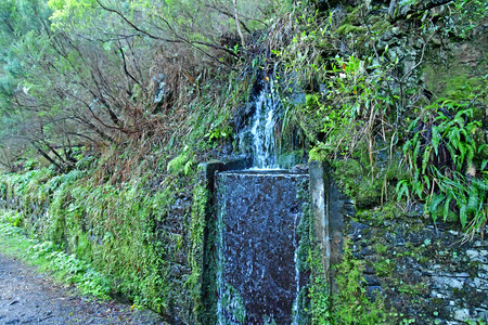 Risco; Madeira; Portugal - february 24 2018 : the 25 fountains levada walkのeditorial素材