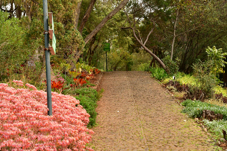 Funchal, Portugal - february 22 2018 : the botanical gardenのeditorial素材